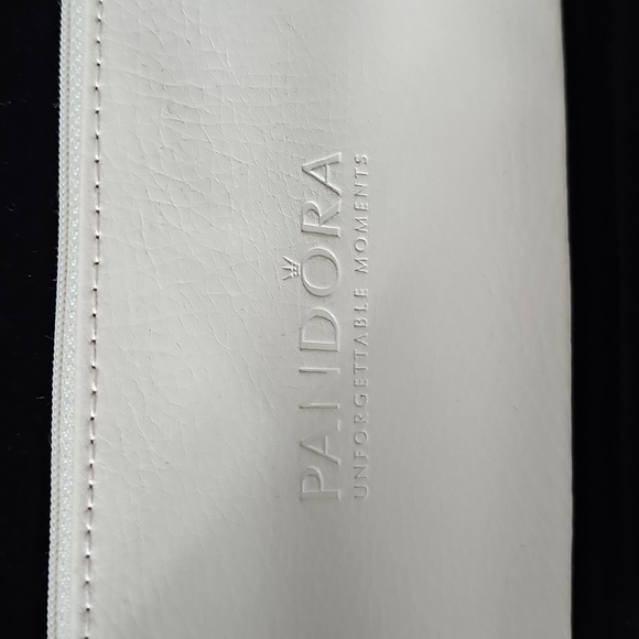 Pandora Makeup/Jewelry Case - Picture 6 of 11